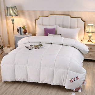 Wholesale Hilton Hotel Feather Velvet Quilt Spring Autumn Winter Thickened Quilt Core B&B Quilt Company Group Buying Gift Quilt
