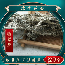 ¹�ײ� ����˪ ǧ�갬  ǧ���� �����ǰ׵������؛��؛