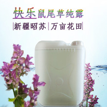 新疆伊犁昭苏快乐鼠尾草纯露产地发货花茎叶萃取原液鼠尾草爽肤水