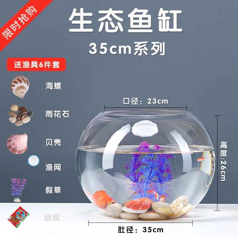 Transparent glass small aquarium for office