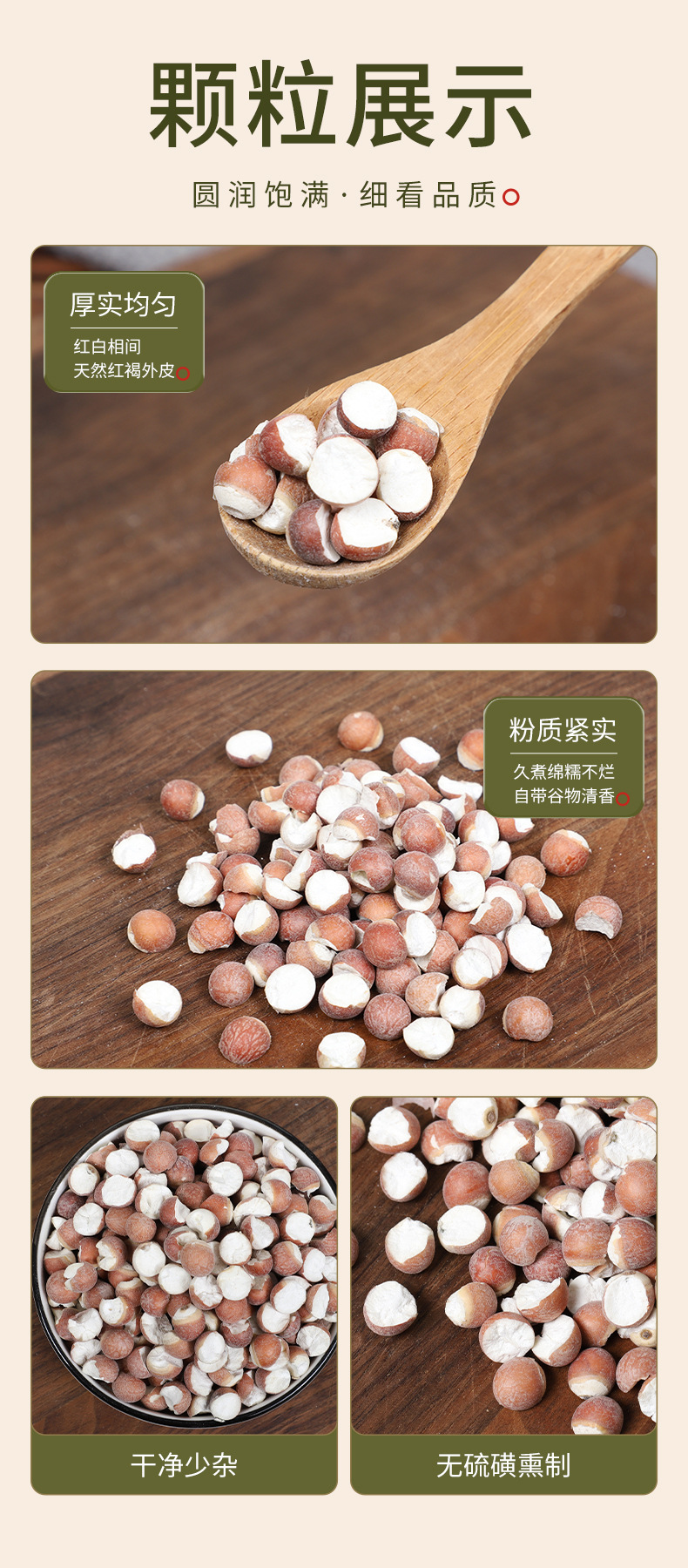Organic Dried Gorgon Fruit Qian Shi 12mm Large Granules 500g Premium Red Skin Euryale Seeds quality and texture
