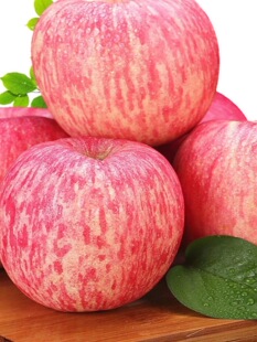 ���ڟ�̨��ϼ�t��ʿ���r�����O��ˮ��ɽ�|�خa��ʿ�O��������]