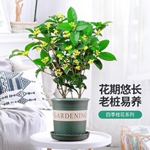 �𻨘��������ļ����҃��_�����������̨ͥԺ���B�����ͻ����¹�