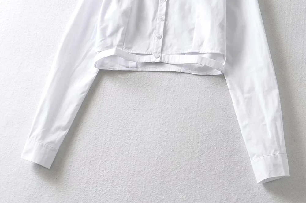 Waist Hollow Long Sleeve Lapel Shirt NSAC22152