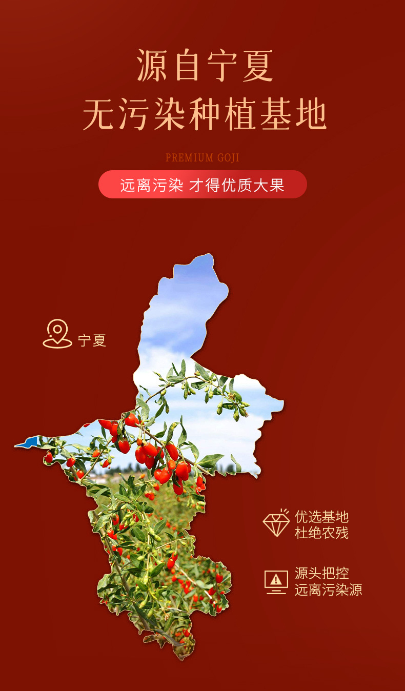 Ningxia Premium Goji Berry Gift Box 480g Dried Wolfberry Fruit Luxury Holiday Gift key features