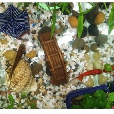 fish tank Bottom sand Landscaping Bottom sand Multicolored Flower stone Whitehead son Butcher shop Flower pot flowers and plants decorate villa Paving decorate