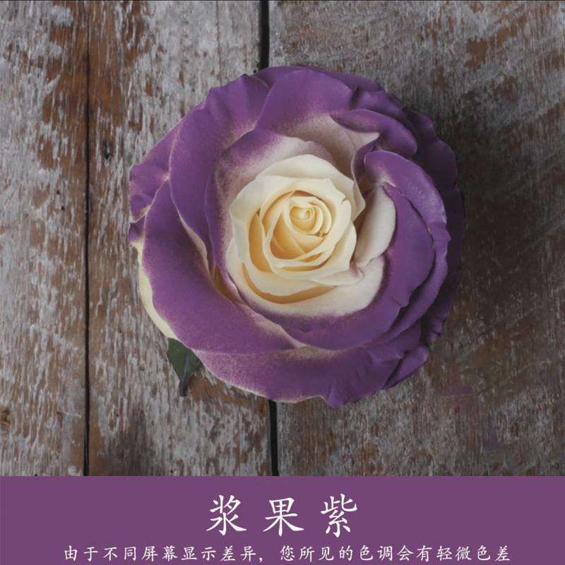 450ml agente de color de aerosol de flores al por mayor pintura en aerosol de secado rápido agente de teñido de rosas de color aerosol de color perlado floristería