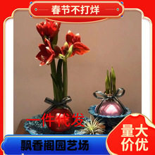 ��피t�tɫ���o ����ɏ �Ͼ����m �҃����� �辰����N�ӷN�����