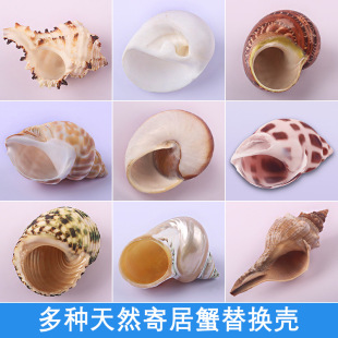 ؐ���������l�ľ�з��ؐ�~��Q��diy�~���쾰ˮ�����b����bֱ�N