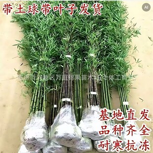 ������ͥԺ�G�h�������������l����r����������