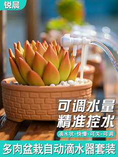 �Ԅӝ�ˮ����ݔҺ��ˮ�������c�ιܑ������̨���⻨�趨�r�ι�