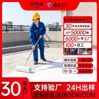 跨境屋顶防水涂料楼顶窗台平房水性防水胶裂缝漏水防水漆定制