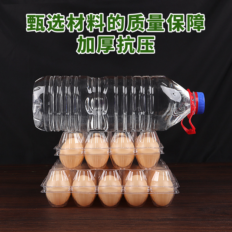 bandeja de huevos de plástico desechable con cubierta transparente 10 paquetes 6 paquetes de huevos de mascotas gruesas fábrica directa