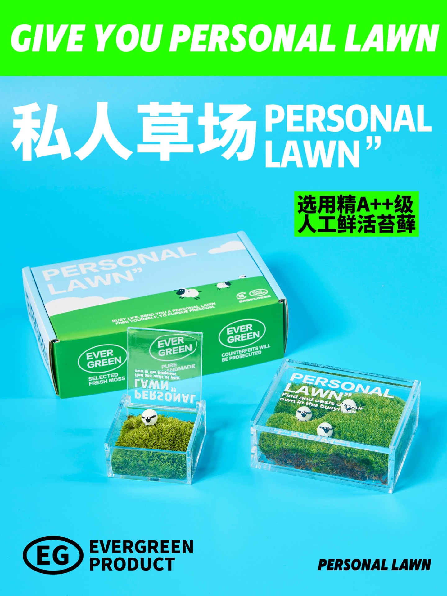 绿洲私人草坪苔藓微景观室内办公室桌面绿植好养盆栽解压创意礼物