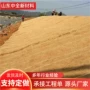保持边坡水土植物纤维毯