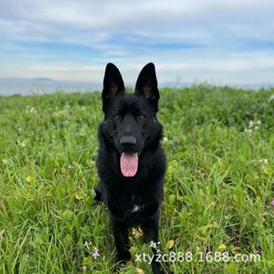 ���N�|������Ȯ��Ȯ���w�pѪ�y�|�¹���Ȯ�o�lȮ��Ȯ����Ȯ