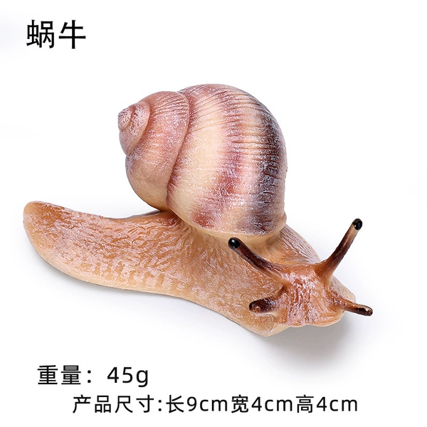 Snails