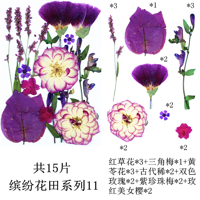 다채로운 꽃 밭 조합 11