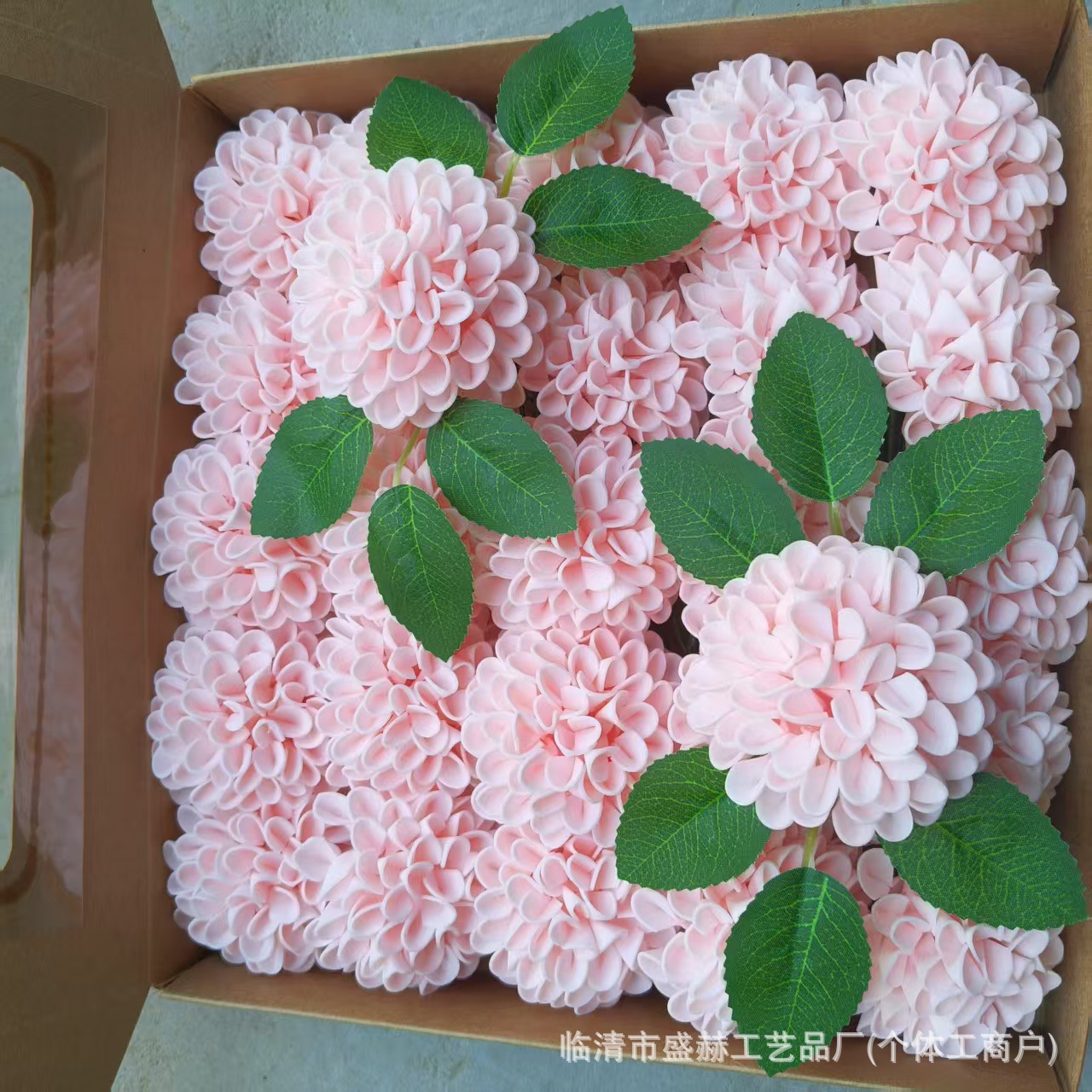 微信图片_20250526124504_62