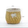 ►◎◉◎◈◄Bamboo beige round belly►◎◉◎◈◄