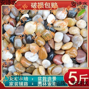 �����Z��ʯ�껨ʯ䁵ض��ԭʯ��Ȼ�����B�~�������Sɫ�Ժ�����