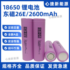 DMEGC東磁気26E18650リチウム電池2600mAh純正品5C放電屋外貯蔵電気自動車