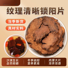 阿拉善金锁阳中药材官方旗舰店男性整根切片泡酒泡茶500g克苁蓉