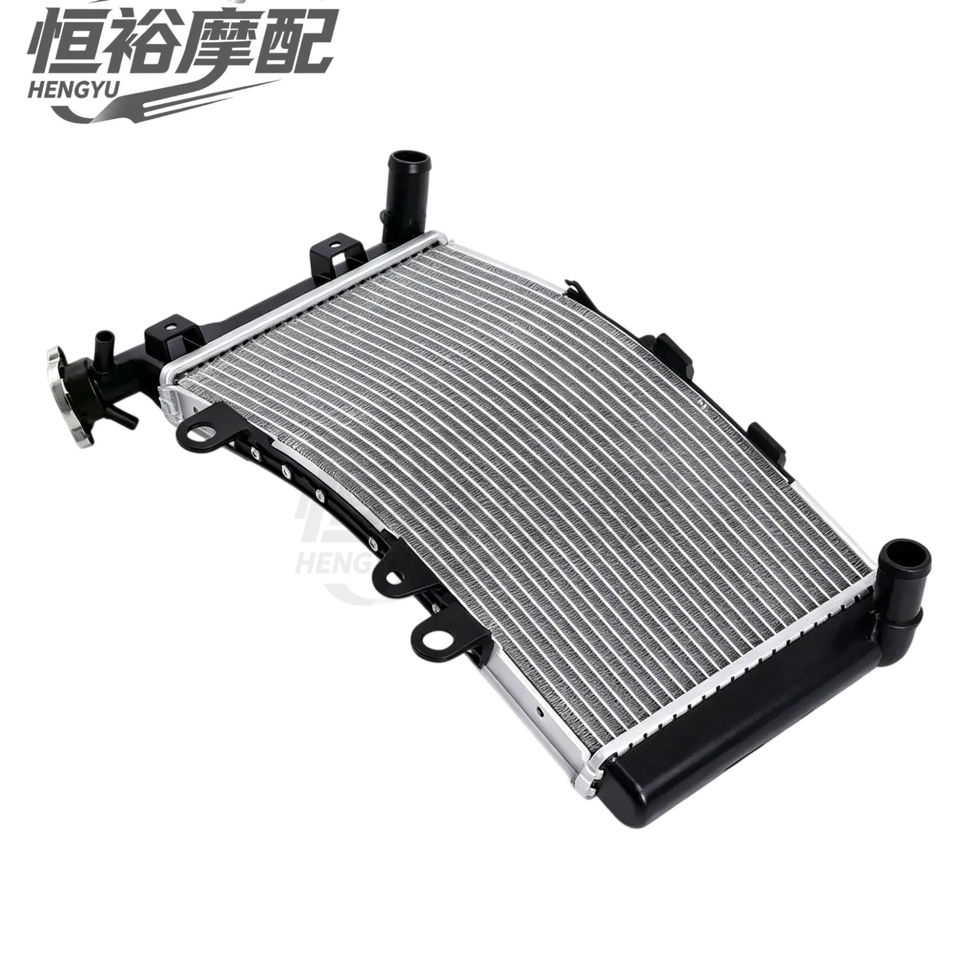 Suitable for BMW F750GS F850GS Adventure cooling radiator water tank assembly 19-24 years