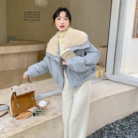 实拍蓝色气质时尚羊羔毛大翻领羽绒服女2026冬季新款保暖白鸭绒服