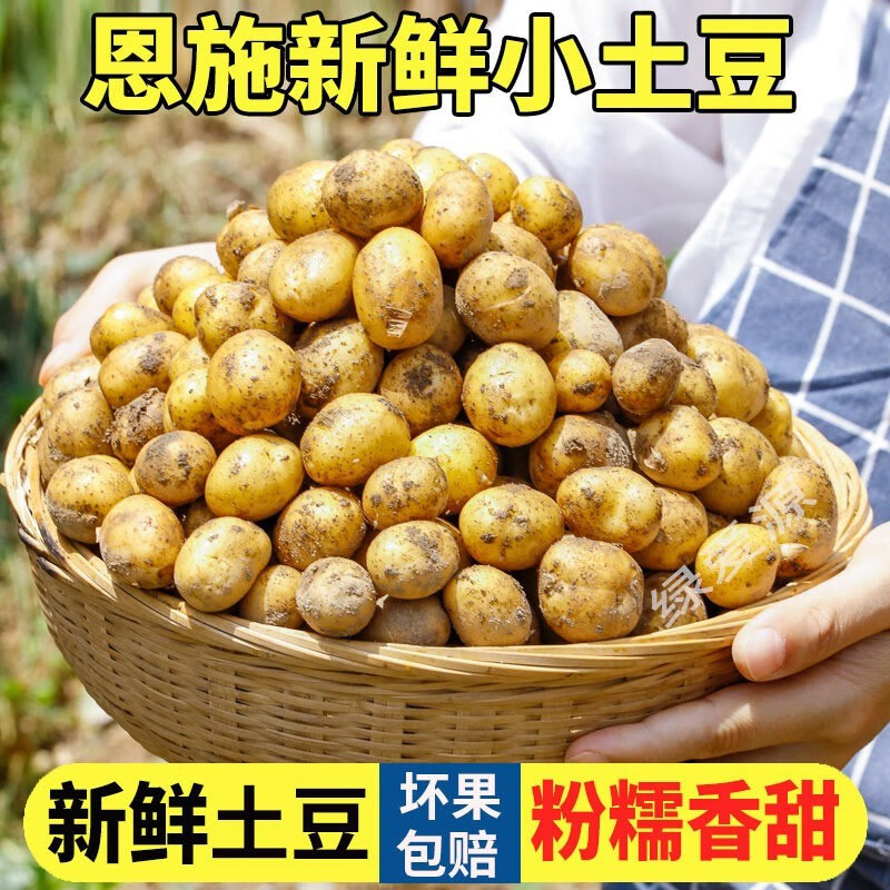 恩施小土豆新鲜黄心5斤包邮当季蔬菜土家特产洋芋迷你小土豆