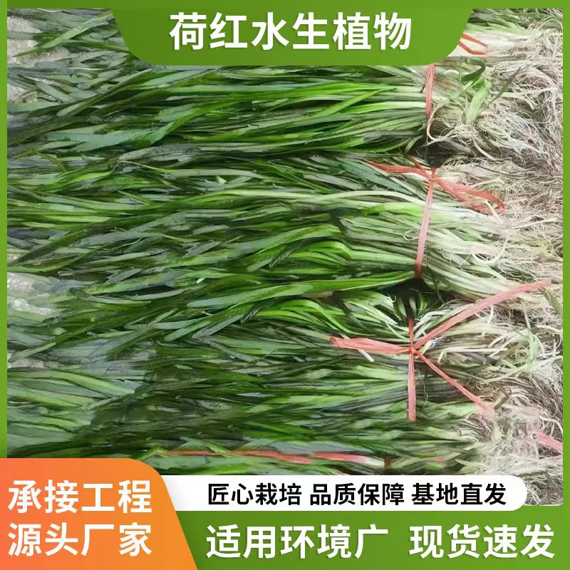 4b3fd1a254760f478e80069f0480e6