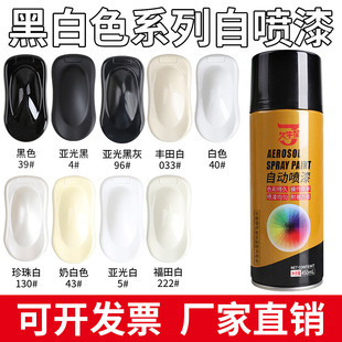 Auto paint matte black pearl white paint paint paint paint hand spray paint metal self spray paint wholesale