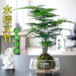 �k���҃ȹ�λ����ֲ����˺��B�����辰����ˮ��ֲ�������҃ȾGֲ