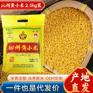 ɽ��ԭ�S�شδ��������SС��5����b�r��С����I�B���Ӳ��SС��