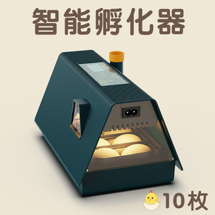 �¿�ȫ�Ԅ����ܼ��Ã�ͯ�๦��С�u���Z������10ö����������