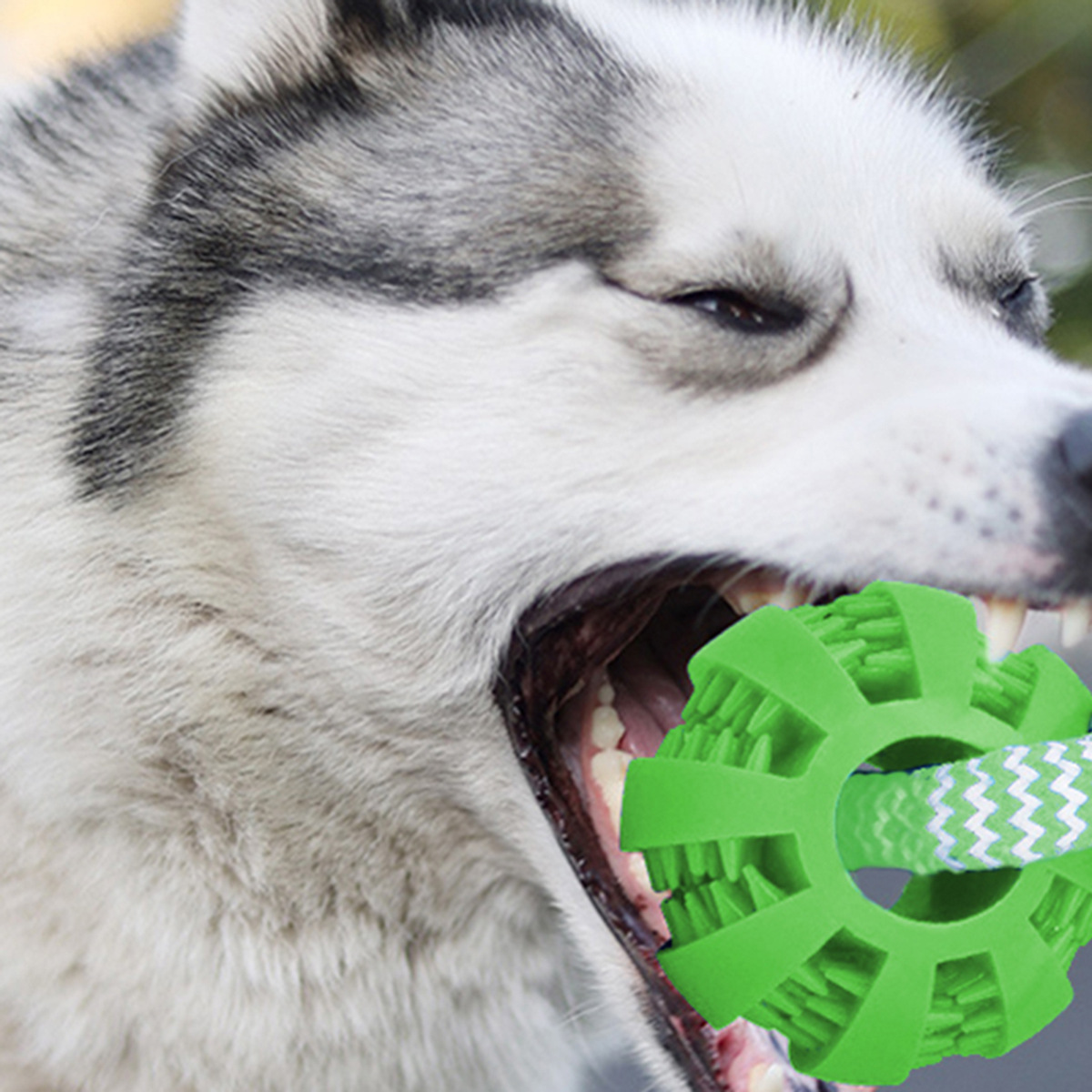 Gioco per cani anguria con corda da tiro e dispenser snack_voghion.com