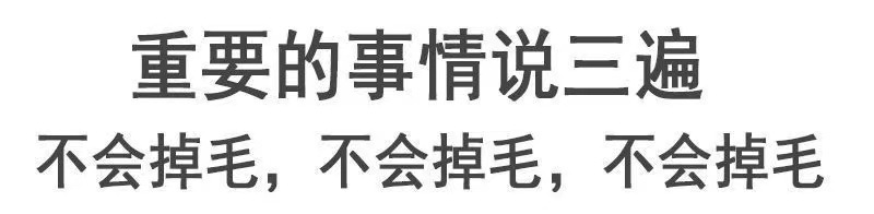 一键复制_20230919005334