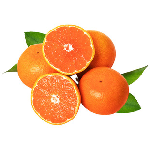 �㽭ӿȪ�۽ۮa��ֱ�l���r�۽۰��]���rˮ��ӿȪ����һ�����l