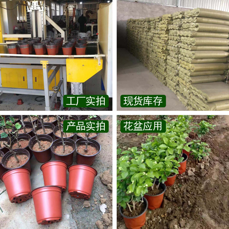 O1CN01M9KQEX1GwEHnv4JZg_!!3903