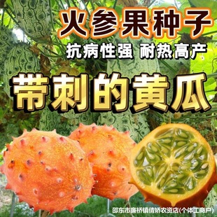 �������N�Ӵ�ȫ���ǹ��������̽ǹ�ˮ���N��ԭ�b�N�Ӵ�ȫ���l���l