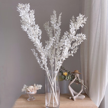 ����Ҷ�ɻ�������Ʒ����������diy����Ҿ�װ����������