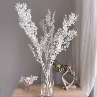 富贵叶干花花束成品永生花材料diy婚礼家居装饰礼物批发