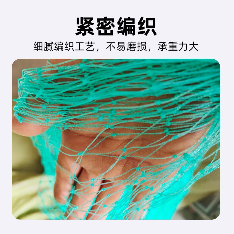 PE防鸟网 果园加粗防鸟加厚网养殖大棚果园网爬藤网防护