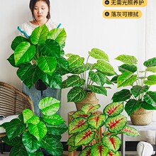 ����GֲС���������񱱚W�L�҃ȿ͏d�b�����ֲ���쾰��ؔ[��