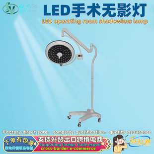Medical Beauty Economical Shadowless Lamp Ceiling-Mounted Hanging Surgical Lighting Adjustable Oral Lighting Export