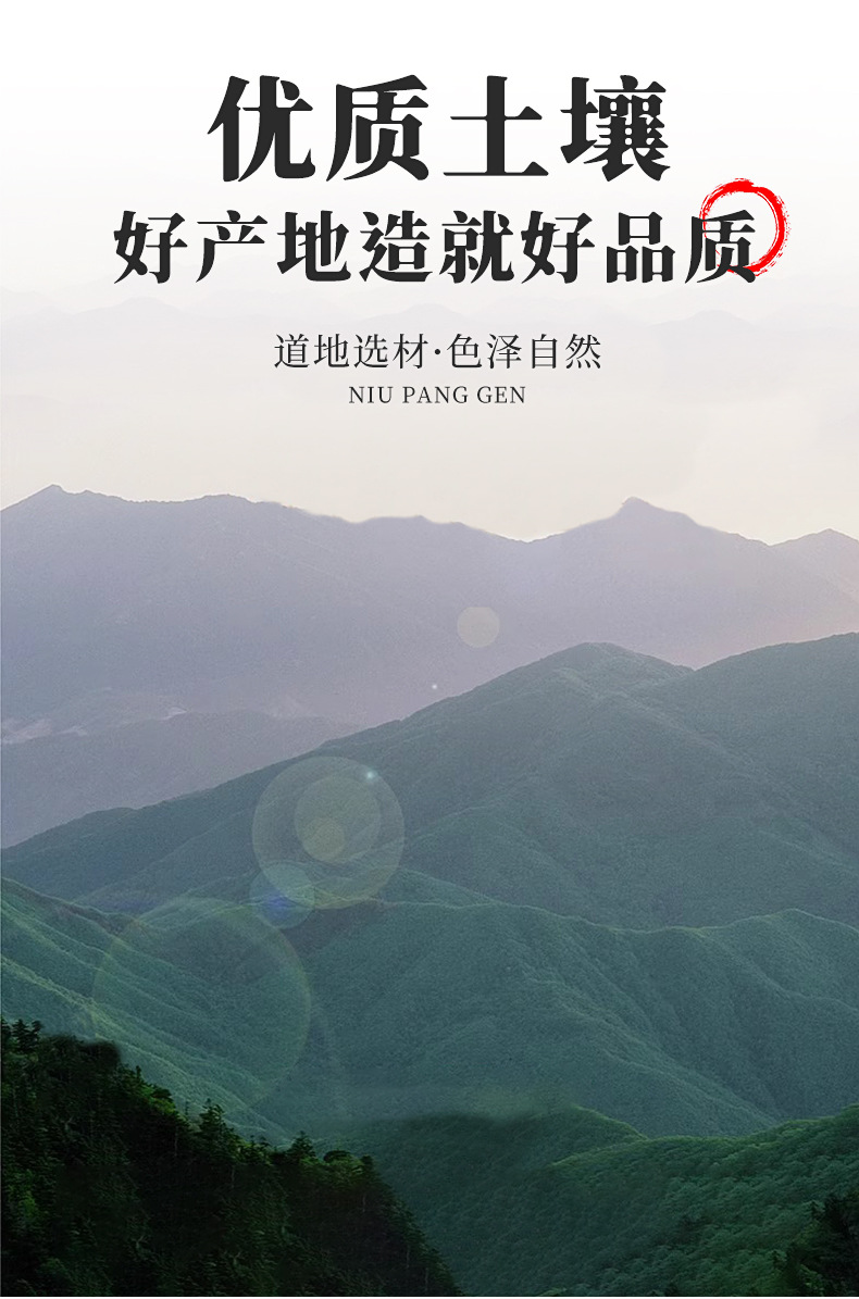 Burdock Root Tea Slices Niu Bang Gen 500g Dried Arctium lappa Herbal Wellness Tea key features