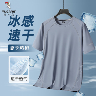 ��ľ�B�ļ��ߏ���������z����T����ʿ�����\��͸���ٸ��w����a