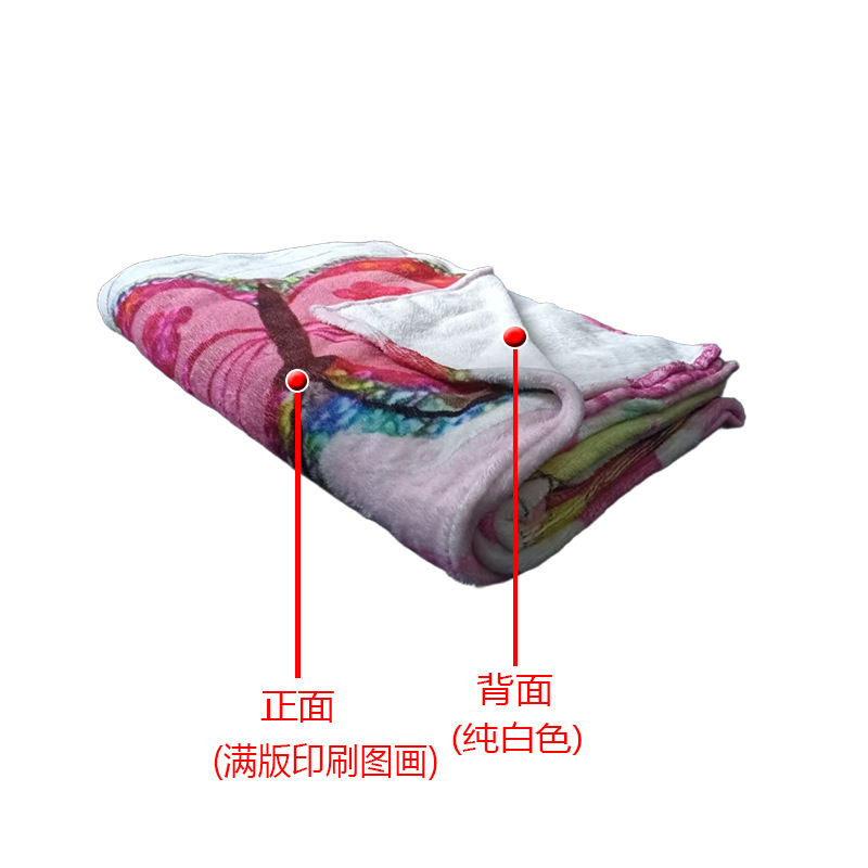 新款可爱卡皮巴拉冬季加厚小毯子 办公室午睡毯法兰绒毯 沙发盖毯|undefined