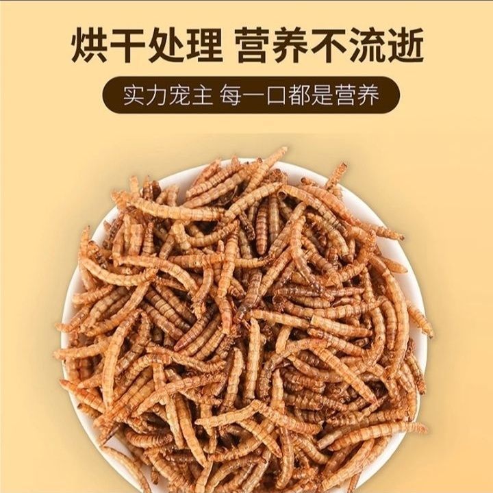 小さなハムスターの餌、ミルワーム、乾燥ゴールデンベア、ハリネズミ、イエローパウダースナック、主食、飼料、特別な栄養価の高い食品|undefined