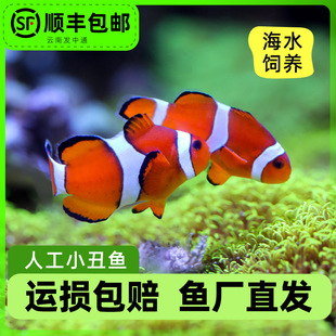 С���~��ˮ�^�p�~���w�˹�������Ī�ͻ���B���ǌ���